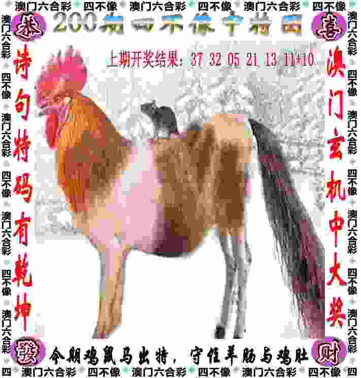 77777888888管家婆网单机版下载大全-7777788888免费管家教程怀旧版下载中文版v9   .26   .299   -2278安卓网